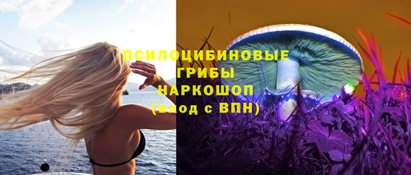 a pvp Рославль